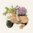 noko SHOP
